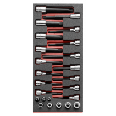 Module mousse douilles Torx et douilles tournevis 6 pans, Torx, XZN - FACOM Maroc | MODM.CHAPF